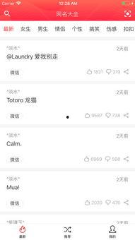 吃瓜娱乐网名大全图片,趣味横生的网络世界