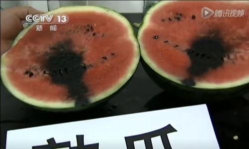 网上吃瓜的视频都是在哪看的啊