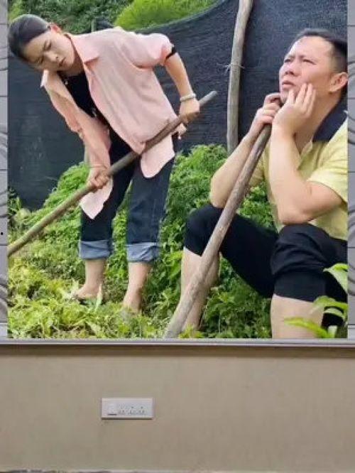 娱乐吃瓜粉丝探班