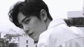 肖战事件娱乐圈吃瓜视频,肖战事件吃瓜视频全解析