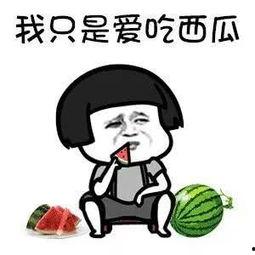 娱乐圈吃瓜哪里好吃